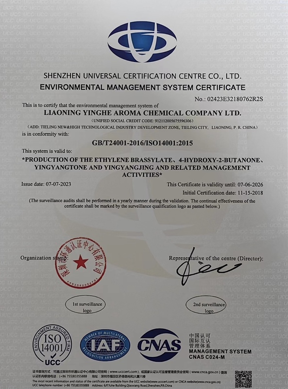 ISO14001 Yinghe EN.JPG
