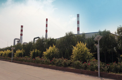 Solid waste incinerator