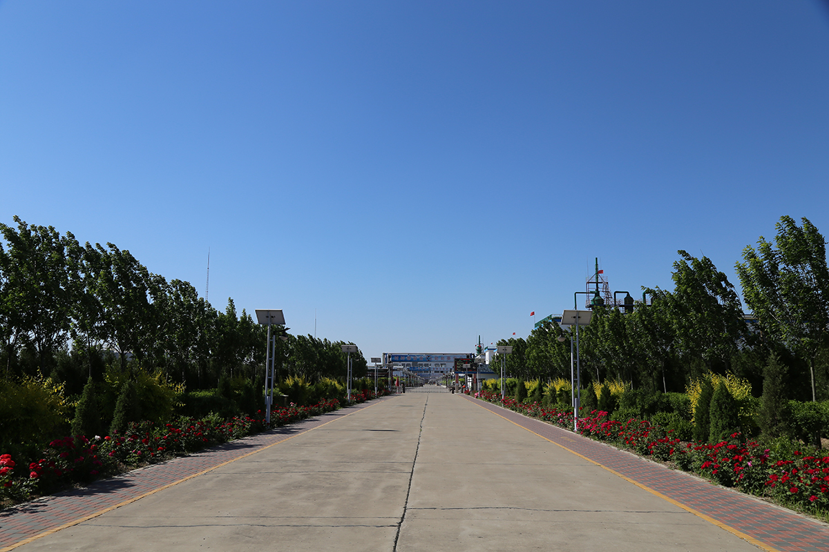 环境3.jpg